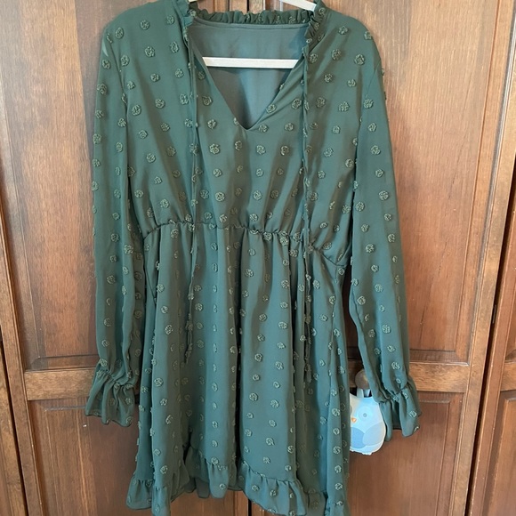 Green Swiss Dot Dress - Picture 2 of 4